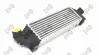 Ladeluftkühler ABAKUS 017-018-0005 Bild Ladeluftkühler ABAKUS 017-018-0005
