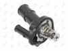 Thermostat, K&uuml;hlmittel ABAKUS 017-025-0034