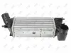 Ladeluftkühler ABAKUS 038-018-0007 Bild Ladeluftkühler ABAKUS 038-018-0007