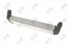 Ladeluftkühler ABAKUS 042-018-0008 Bild Ladeluftkühler ABAKUS 042-018-0008