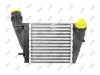 Ladeluftkühler ABAKUS 042-018-0012 Bild Ladeluftkühler ABAKUS 042-018-0012