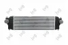 Ladeluftkühler ABAKUS 050-018-0001 Bild Ladeluftkühler ABAKUS 050-018-0001