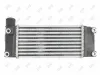 Ladeluftkühler ABAKUS 051-018-0008 Bild Ladeluftkühler ABAKUS 051-018-0008