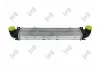 Ladeluftkühler ABAKUS 052-018-0007 Bild Ladeluftkühler ABAKUS 052-018-0007