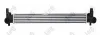 Ladeluftkühler ABAKUS 053-018-0011 Bild Ladeluftkühler ABAKUS 053-018-0011