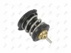 Thermostat, K&uuml;hlmittel ABAKUS 053-025-0058