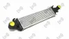 Ladeluftkühler ABAKUS 054-018-0005 Bild Ladeluftkühler ABAKUS 054-018-0005