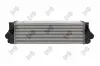 Ladeluftkühler ABAKUS 054-018-0009 Bild Ladeluftkühler ABAKUS 054-018-0009