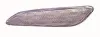Blinkleuchte vorne links ABAKUS 667-1402L-UE-C