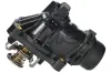 Thermostat, K&uuml;hlmittel Metalcaucho 03825