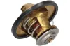 Thermostat, Kühlmittel Metalcaucho 30294