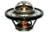 Thermostat, K&uuml;hlmittel Metalcaucho 30637
