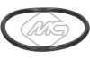 Dichtung, Thermostat Metalcaucho 42610
