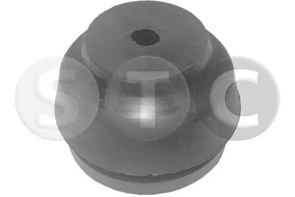 Lagerung, Motor vorne STC T402750
