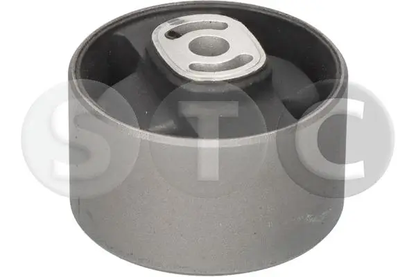 Lagerung, Motor hinten vorne STC T402980
