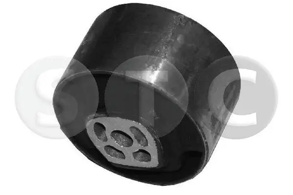 Lagerung, Motor hinten rechts STC T404428