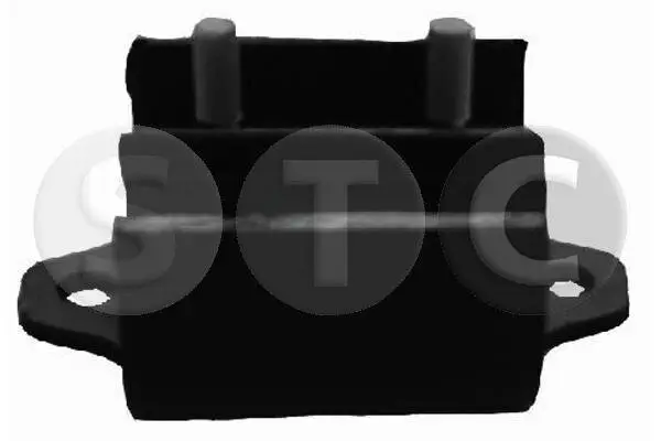 Lagerung, Schaltgetriebe Vorderachse STC T404702