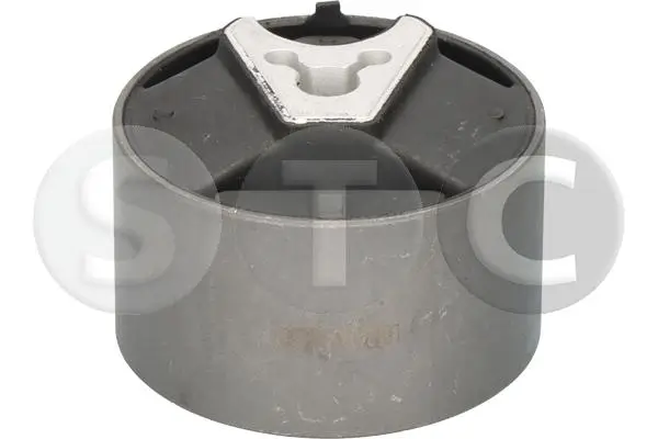 Lagerung, Motor hinten STC T405661