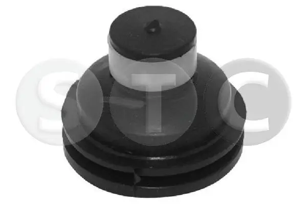 Lagerung, Motor vorne STC T405784