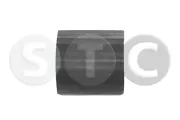 Ladeluftschlauch STC T409061