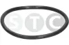 Dichtung, Thermostat STC T442610