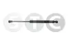 Gasfeder, Motorhaube STC T446157