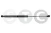 Gasfeder, Motorhaube beidseitig STC T446166