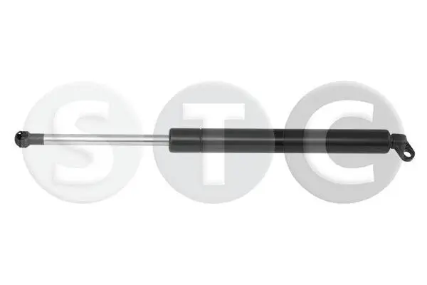 Gasfeder, Koffer-/Laderaum STC T446169