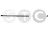 Gasfeder, Koffer-/Laderaum beidseitig STC T446232