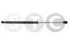 Gasfeder, Koffer-/Laderaum beidseitig STC T446235