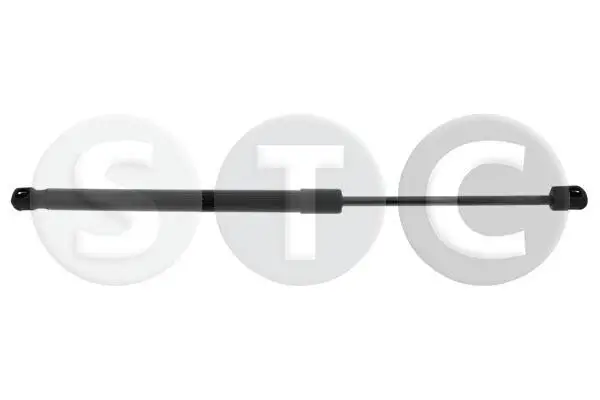 Gasfeder, Koffer-/Laderaum beidseitig STC T446238