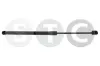 Gasfeder, Koffer-/Laderaum beidseitig STC T446238