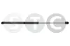 Gasfeder, Koffer-/Laderaum beidseitig STC T446265