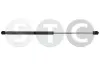 Gasfeder, Koffer-/Laderaum beidseitig STC T446287