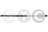 Gasfeder, Koffer-/Laderaum beidseitig STC T446316
