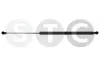Gasfeder, Motorhaube STC T446337