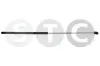 Gasfeder, Motorhaube links STC T446458