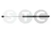 Gasfeder, Koffer-/Laderaum STC T446531