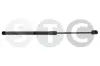 Gasfeder, Koffer-/Laderaum STC T446544