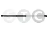 Gasfeder, Koffer-/Laderaum STC T446670