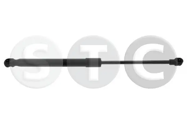 Gasfeder, Motorhaube beidseitig STC T446861