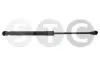 Gasfeder, Motorhaube beidseitig STC T446861