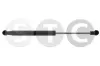 Gasfeder, Motorhaube beidseitig STC T446862