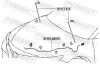 Motorhaubenzug FEBEST 01101-ASV70 Bild Motorhaubenzug FEBEST 01101-ASV70