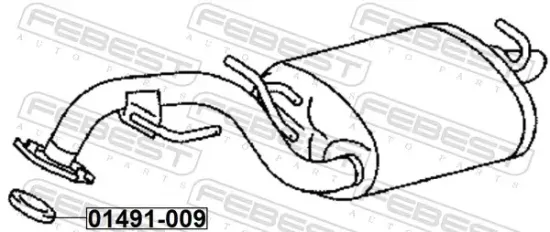 Dichtring, Abgasrohr FEBEST 01491-009 Bild Dichtring, Abgasrohr FEBEST 01491-009