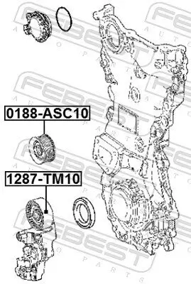 Umlenk-/Führungsrolle, Keilrippenriemen FEBEST 0188-ASC10 Bild Umlenk-/Führungsrolle, Keilrippenriemen FEBEST 0188-ASC10