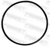 Dichtung, Tankgeber FEBEST 02400-019 Bild Dichtung, Tankgeber FEBEST 02400-019