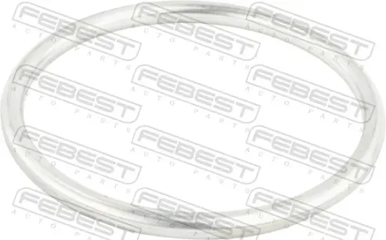 Dichtung, Abgasrohr FEBEST 02491-004 Bild Dichtung, Abgasrohr FEBEST 02491-004