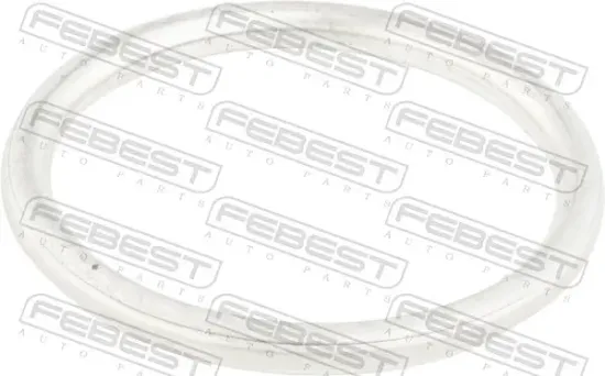 Dichtung, Abgasrohr FEBEST 02491-006 Bild Dichtung, Abgasrohr FEBEST 02491-006