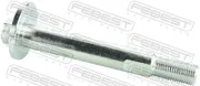 Sturzkorrekturschraube FEBEST 0329-001